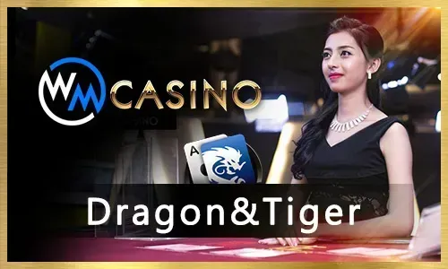 Exciting Casino Games at 96 Jili Club